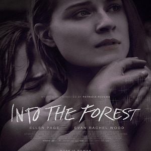 Fotoğraf Into the Forest