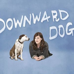 Fotoğraf Downward Dog