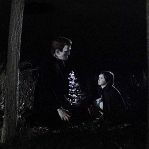 Fotoğraf El espíritu de la colmena