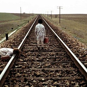 Fotoğraf El espíritu de la colmena