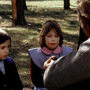 Fotoğraf El espíritu de la colmena