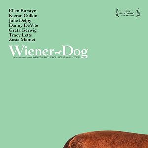 Fotoğraf Wiener-Dog