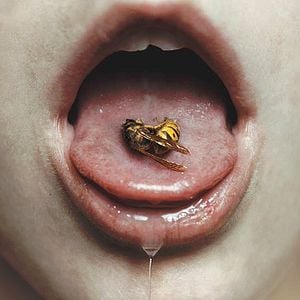 Fotoğraf Dead of Summer