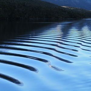 Fotoğraf The Pearl Button