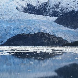 Fotoğraf The Pearl Button