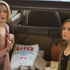 Fotoğraf Into the Forest