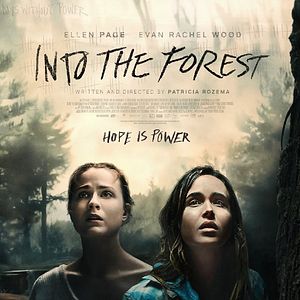 Fotoğraf Into the Forest