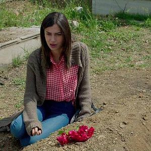 Fotoğraf Kırgın Çiçekler