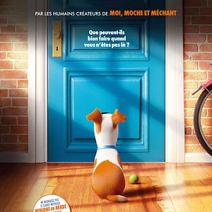 Fotoğraf Evcil Hayvanların Gizli Yaşamı