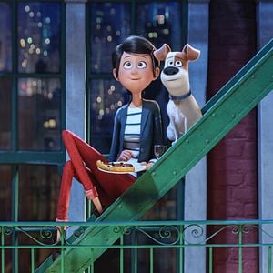 Fotoğraf Evcil Hayvanların Gizli Yaşamı