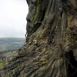 Fotoğraf Canavarın Çağrısı