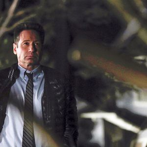 Fotoğraf David Duchovny