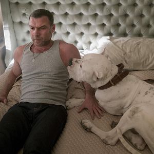 Fotoğraf Liev Schreiber