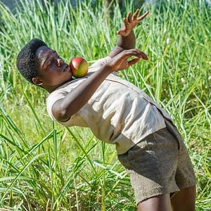 Fotoğraf Pele: Bir Efsanenin Doğuşu
