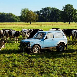 Fotoğraf Elveda Berlin