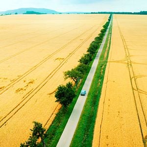 Fotoğraf Elveda Berlin