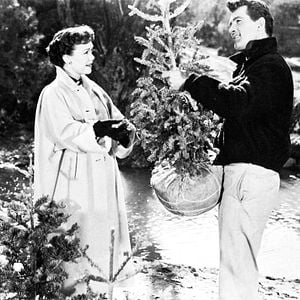 Fotoğraf All that Heaven Allows