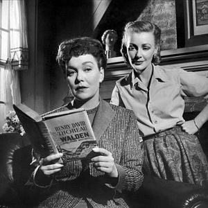 Fotoğraf All that Heaven Allows