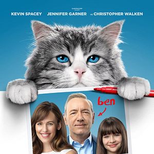 Fotoğraf Dokuz Canlı Bay Tüylü