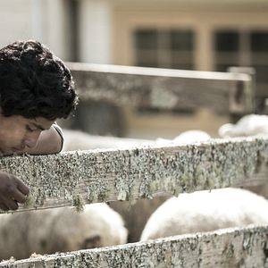 Fotoğraf Aile Reisi