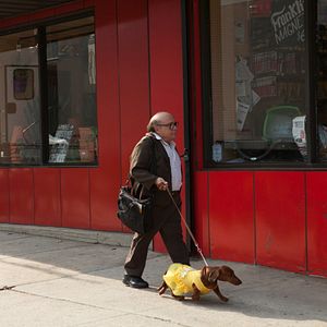 Fotoğraf Danny DeVito