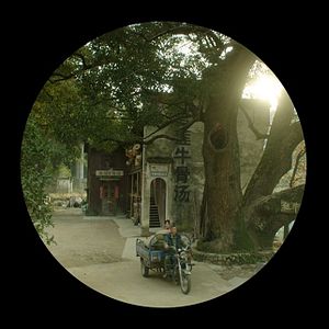 Fotoğraf Ben Madame Bovary Değilim