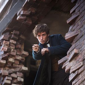 Fotoğraf Eddie Redmayne