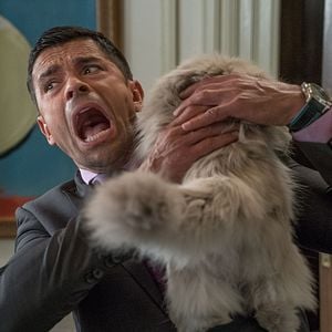 Fotoğraf Mark Consuelos