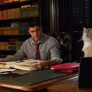 Fotoğraf Robbie Amell