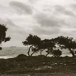 Fotoğraf Correspondências