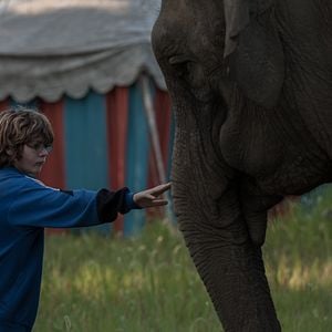 Fotoğraf Meadowland