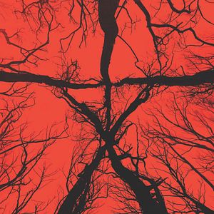 Fotoğraf Blair Cadısı