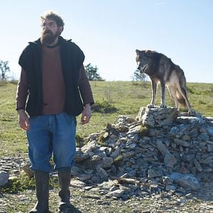 Fotoğraf Rester Vertical