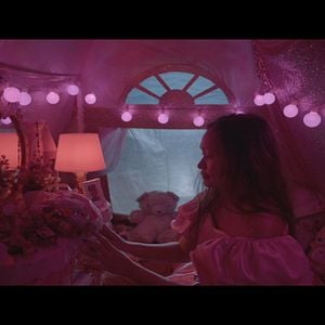 Fotoğraf The Dog Show