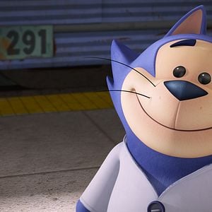 Fotoğraf Sevimli Kedi İş Başında 2