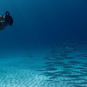Fotoğraf Derinliklere Yolculuk