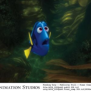 Fotoğraf Kayıp Balık Dori