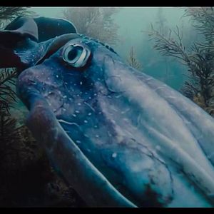 Fotoğraf Voyage of Time: Life's Journey