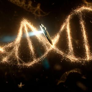 Fotoğraf Voyage of Time: Life's Journey