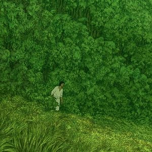 Fotoğraf Kırmızı Kaplumbağa