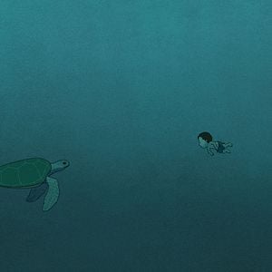 Fotoğraf Kırmızı Kaplumbağa