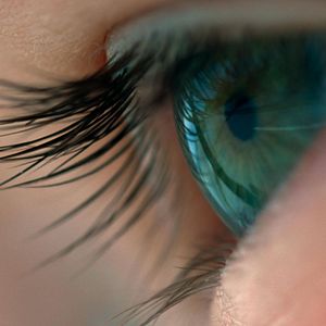 Fotoğraf Voyage of Time: Life's Journey