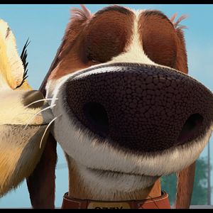 Fotoğraf Tüylü Kaçak