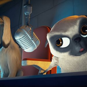 Fotoğraf Tüylü Kaçak