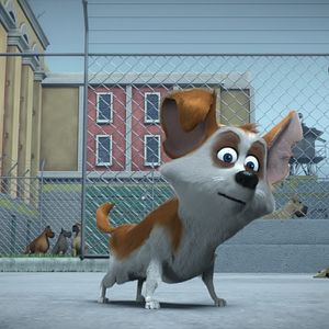 Fotoğraf Tüylü Kaçak