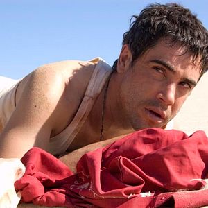 Fotoğraf Cefalópodo