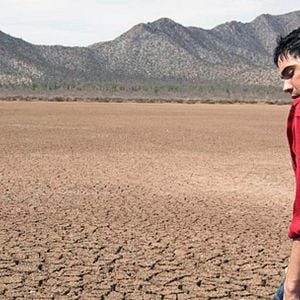 Fotoğraf Cefalópodo