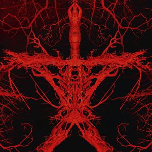 Fotoğraf Blair Cadısı