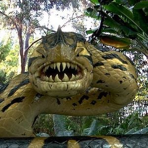 Fotoğraf Piranhaconda