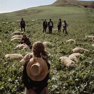 Fotoğraf Far from the Madding Crowd